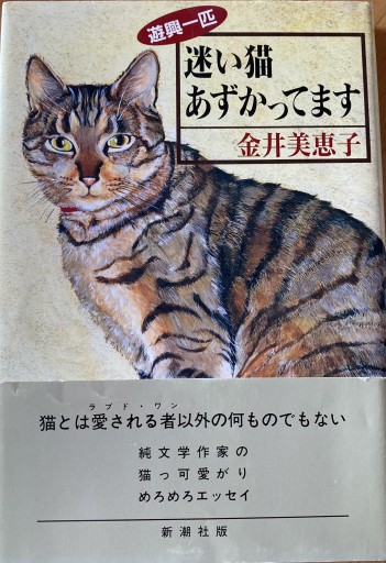 迷い猫あずかってます: 遊興一匹 - えみたびbooks