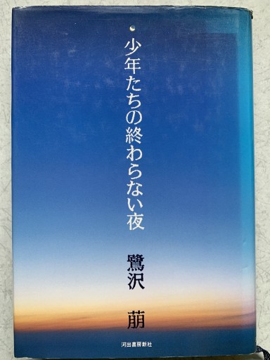 少年たちの終わらない夜 - つんどく