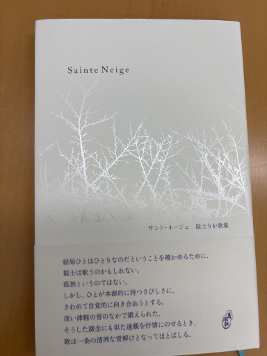 sainte neige - 拙舟書屋
