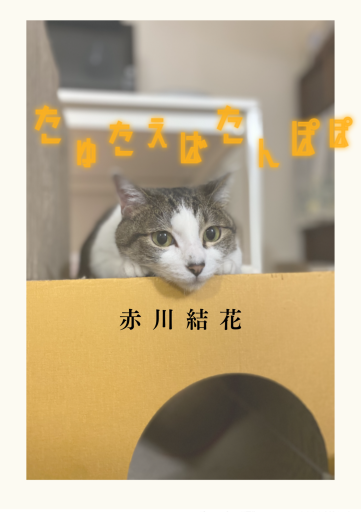 たゆたえばたんぽぽ - タチヨレバ