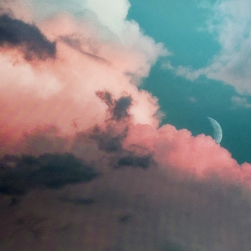 シアーポストカードB（封筒付） - papier®︎ RIVE GAUCHE