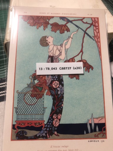 13:TB_043 GB8737 浮気な鳥 - 岸リューリSOLIDA書店