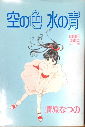 空の色水の青（ぶーけコミックス） - 本棚の向こう側