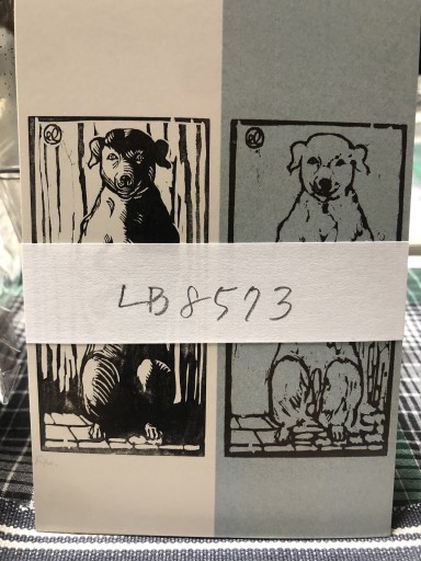 LB8573  フィプス - 岸リューリSOLIDA書店