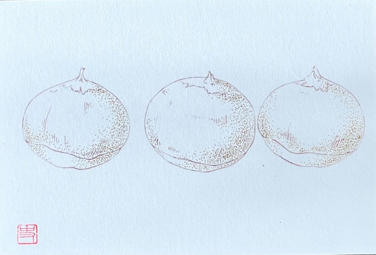 ポストカード kuri - fuminw