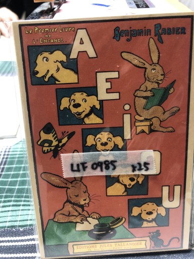 LIF 0985 アエイオウ - 岸リューリSOLIDA書店