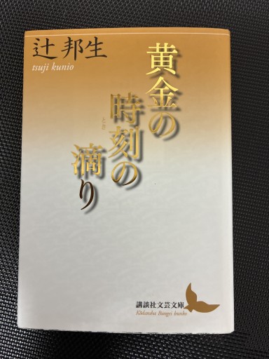 黄金の時刻の滴り（講談社文芸文庫 つC 2） - MaemaeM