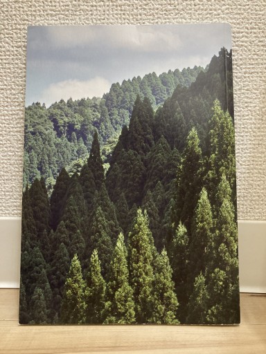 福井県池田町 - トマト1号 '25.12.4