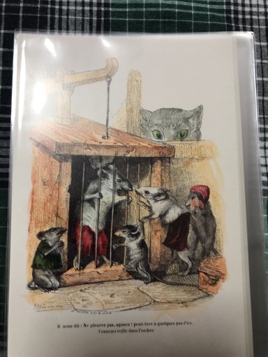 ネズミとネコ - 岸リューリ（RIVE GAUCHE店）