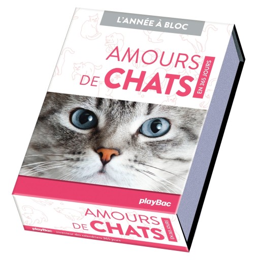 Calendrier Amours de chats en 365 jours - レ・シャ・ピートル