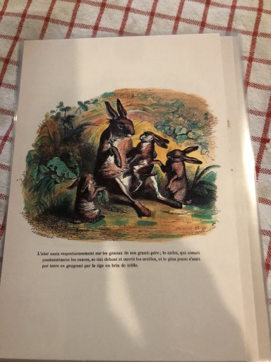 ウサギ - 岸リューリSOLIDA書店