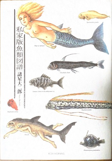 私家版魚類図譜（KCデラックス） - 本棚の向こう側