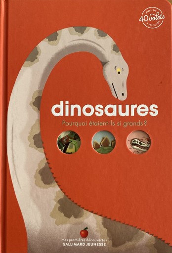 Dinosaures - alala bazaar