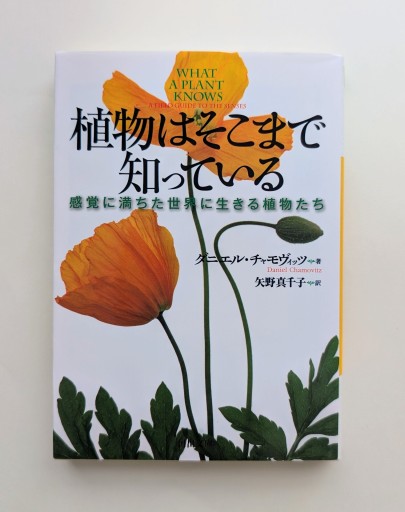 植物はそこまで知っている: 感覚に満ちた世界に生きる植物たち（河出文庫） - 海を越えるツバメ