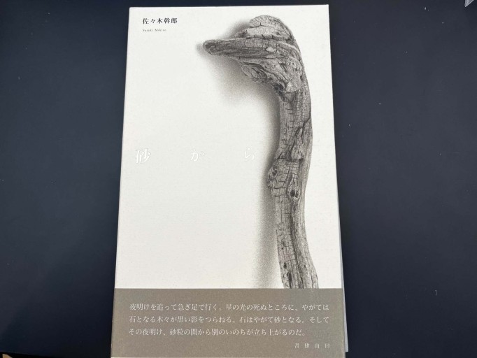 砂から - 佐々木 幹郎の本棚