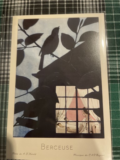 マルティ 揺籠 - 岸リューリ