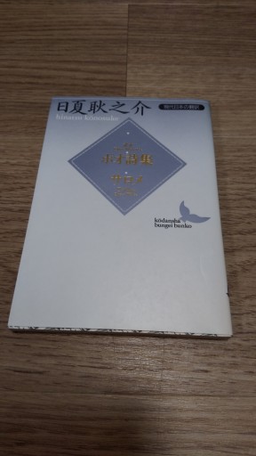 ポオ詩集,サロメ（講談社文芸文庫 ひE 1 現代日本の翻訳） - とみきち屋