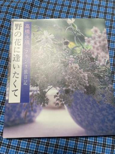 野の花に逢いたくて - 岸リューリ（RIVE GAUCHE店）