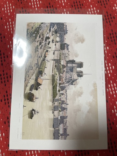 1595年のノートルダム - 岸リューリ（RIVE GAUCHE店）