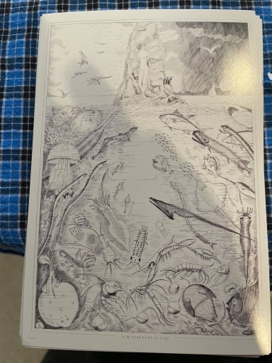 LB5748 アンドロメダ - 岸リューリSOLIDA書店