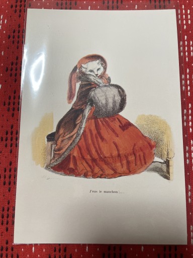 マフネコ - 岸リューリ