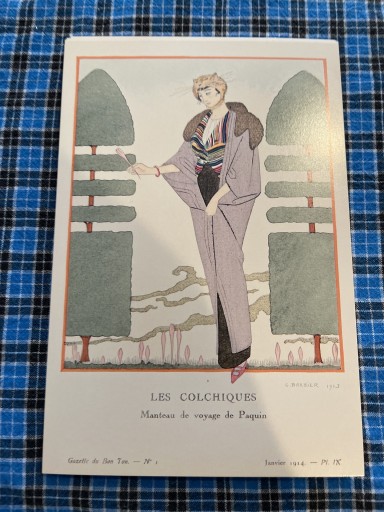 GB7132 犬サフラン - 岸リューリSOLIDA書店