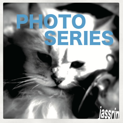 PHOTO SERIES - jassrin&uccemello