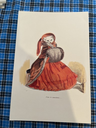 マフネコ - 岸リューリSOLIDA書店