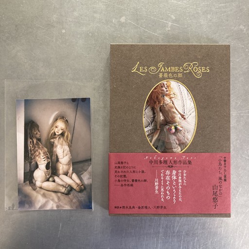 【写真付4】『薔薇色の脚』中川多理人形作品集 - 中川多理 Favorite Journal