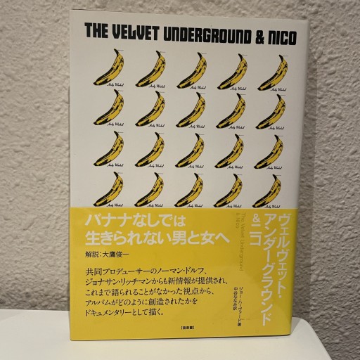 ヴェルヴェット・アンダーグラウンド&ニコ - glacepilee