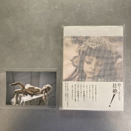 【写真付2】夜想＃中川多理―物語の中の少女 - 中川多理 Favorite Journal