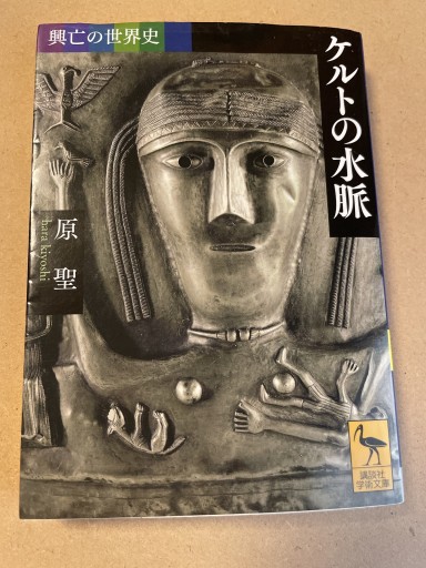 興亡の世界史 ケルトの水脈（講談社学術文庫 2389 興亡の世界史） - 長岡白和と細川文昌の本棚