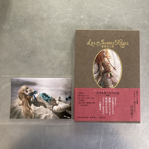 【写真付3】『薔薇色の脚』中川多理人形作品集 - 中川多理 Favorite Journal