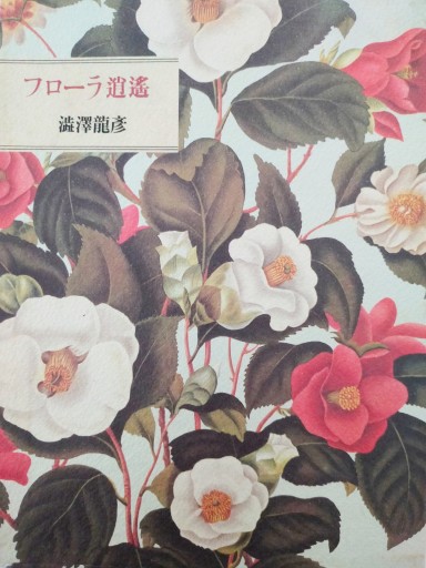 フローラ逍遙 - Merika Suzuki_RIVE GAUCHE