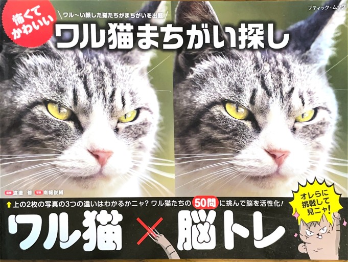 ワル猫まちがい探し - ブックスなおたむ