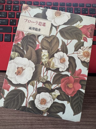 フローラ逍遥 - 神保町のかねひらさん