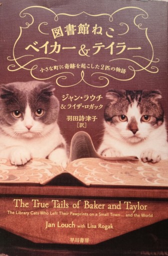 図書館ねこベイカー＆テイラー - ギャラリーえん 66books