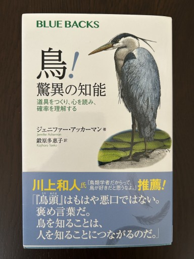 鳥! 驚異の知能 道具をつくり、心を読み、確率を理解する（ブルーバックス 2053） - 言の葉書房
