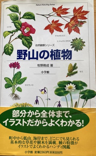 野山の植物（自然観察シリーズ） - えみたびbooks