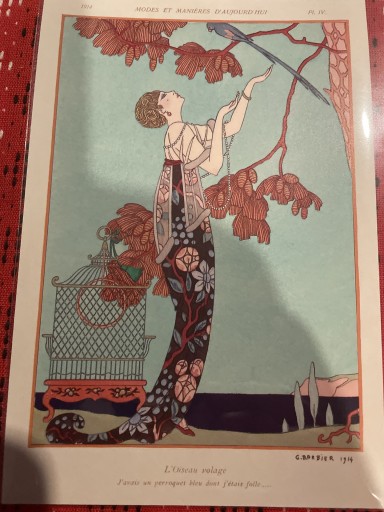 浮気な鳥 - 岸リューリSOLIDA書店