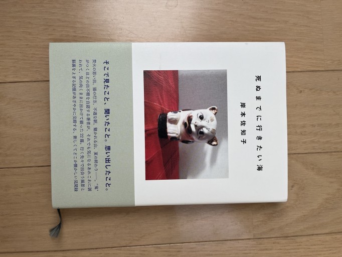 死ぬまでに行きたい海 - 青の時間