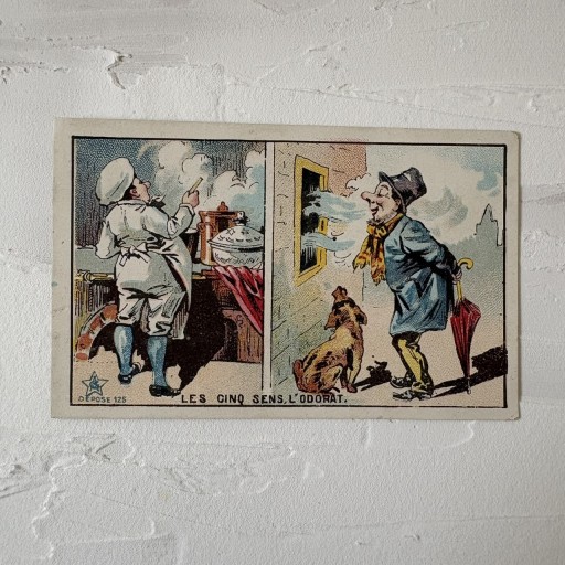 フランス｜クロモスカード 五感（嗅覚）ユーモア図案 - filcôté｜小さな断片の本棚