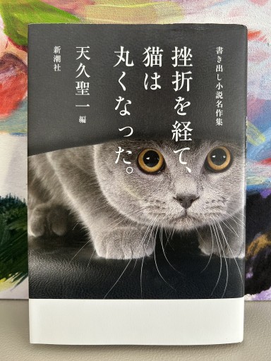 挫折を経て、猫は丸くなった。: 書き出し小説名作集 - バーナビー
