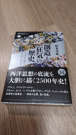 創造と狂気の歴史 プラトンからドゥルーズまで（講談社選書メチエ 696） - とみきち屋