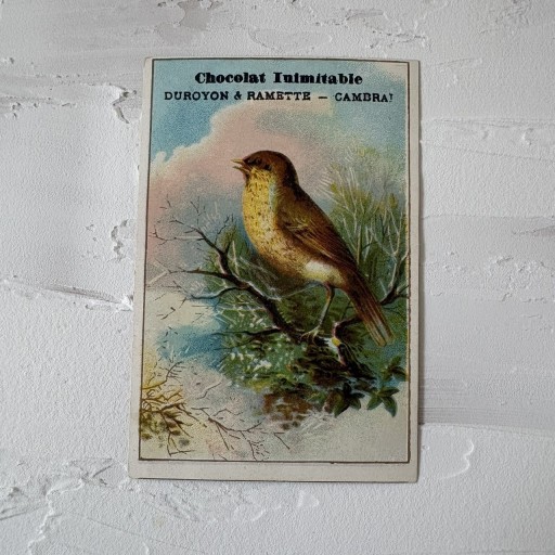 フランス｜クロモスカード 小鳥とショコラ広告 - filcôté｜小さな断片の本棚