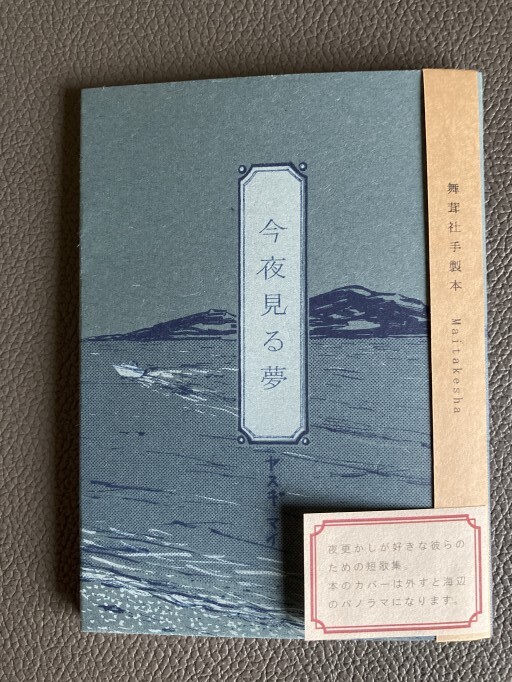 今夜見る夢 - cacco