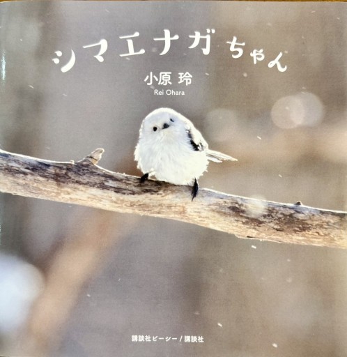 シマエナガちゃん - ひとつぶ本棚