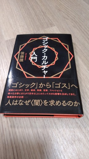 ゴシック・カルチャー入門（ele-king books） - とみきち屋