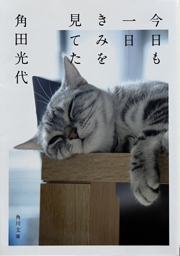 今日も一日きみを見てた（角川文庫） - からだとこころと暮らす棚
