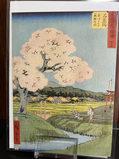 カード 広重2 - 日照草の棚